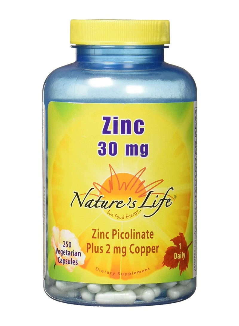 Nature's Life Zinc Picolinate Dietary Supplement - 250 Capsule 