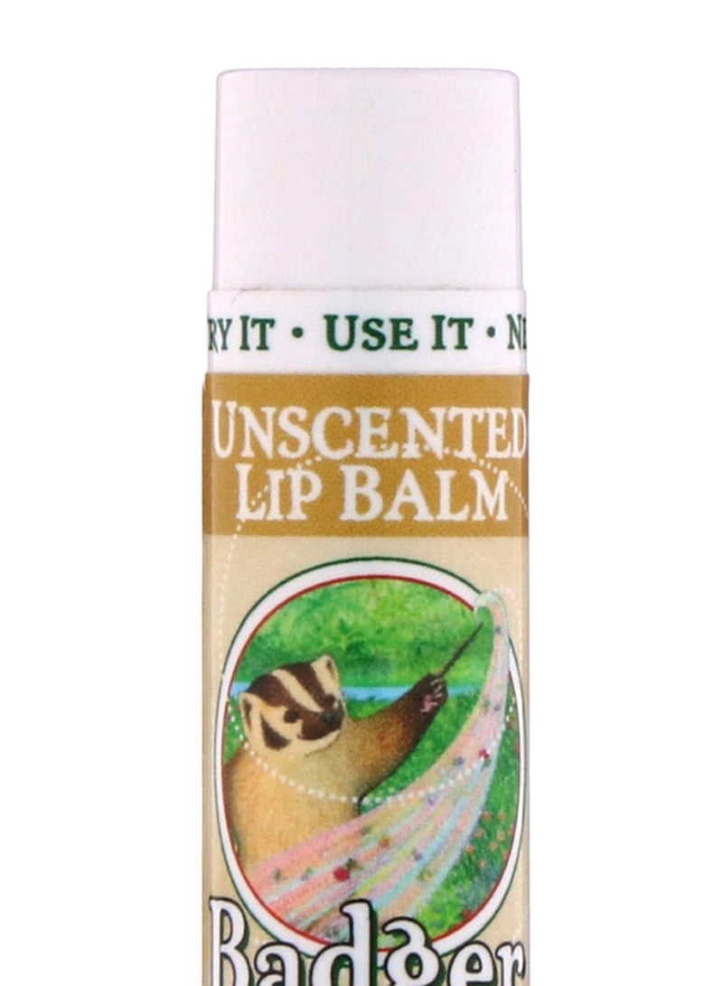 بادجير مرطب شفاه غير معطر 4.2جرام  - Image 2