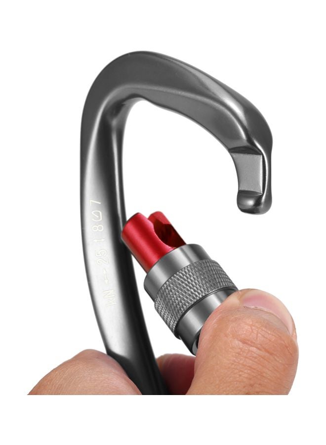 D Shape Screw Locking Gate Carabiner - v1582292633/N34846051A_4