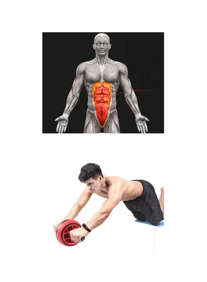 Cool Baby Abdominal Muscle Workout Roller 18 x 40 x 18cm - Image 3