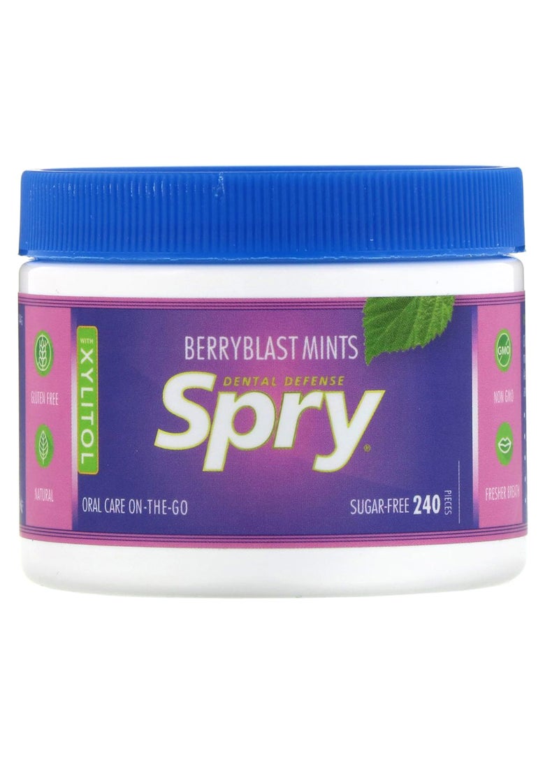 240-Piece Berry Blast Mint Flavour Spry Gum Set 144grams - v1582304791/N34623092A_1