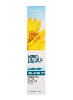 Wintergreen Arnica And Tea Tree Oil Toothpaste 176grams - v1582381402/N34622935A_1