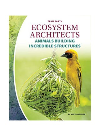 Ecosystem Architects paperback english - 01 January 2020 - v1582526318/N34905712A_1