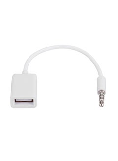 USB Aux Audio OTG Cable