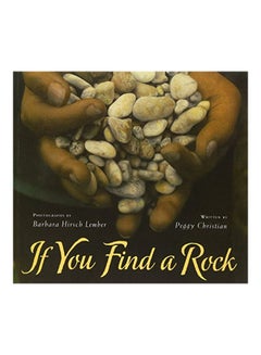 If You Find A Rock paperback english - 01 September 2011 