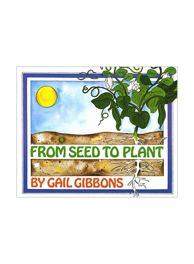 From Seed To Plant paperback english - 01 March 1993