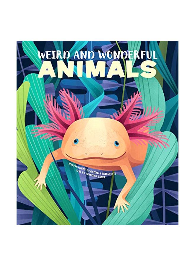 Weird And Wonderful Animals hardcover english - 19 November 2019 