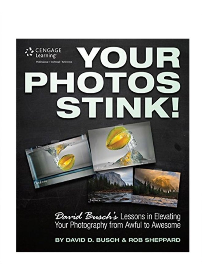 Your Photos Stink Paperback English by David D. Busch