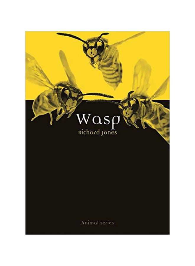 Wasp : Animal Stories paperback english - 15-Dec-19