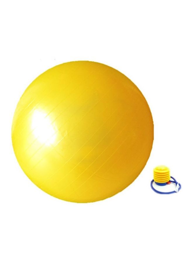 كرة سويسرية لتمارين اليوغا مع مضخة 65سم - Image 2