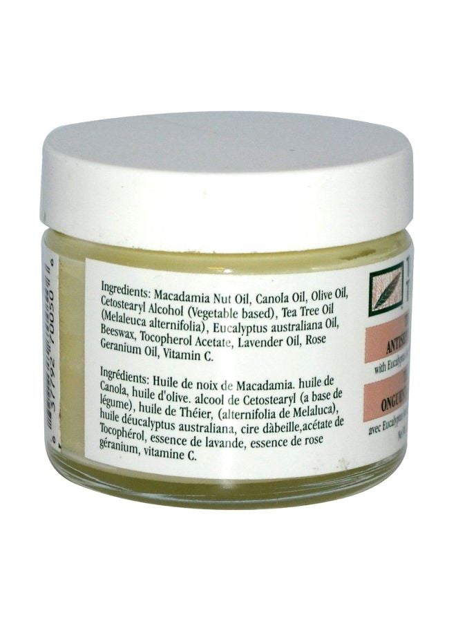 Tea Tree Therapy Tea Tree Antiseptic Ointment - Image 2