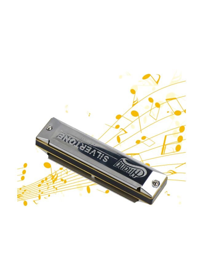 10 Holes Copper C Key Harmonica Mouthorgan