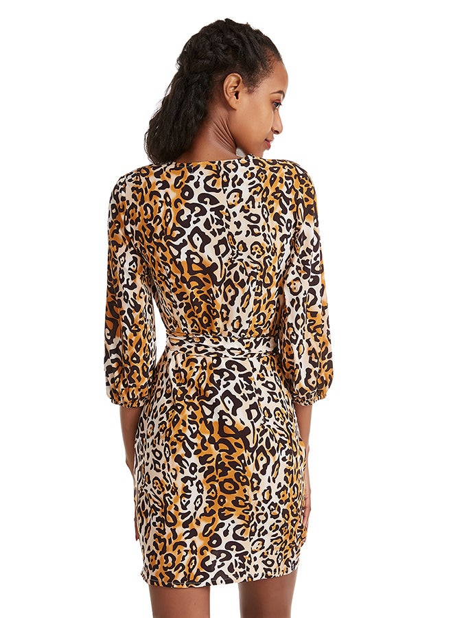 Long Sleeve Leopard Dress Yellow/Black - v1582804183/N34842293V_2