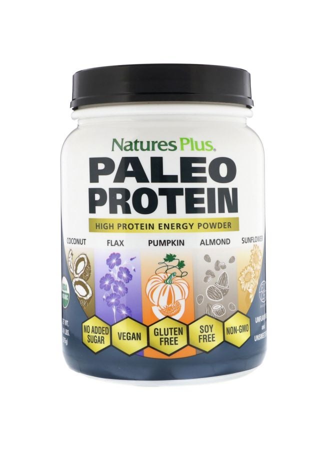 Paleo Protein Powder