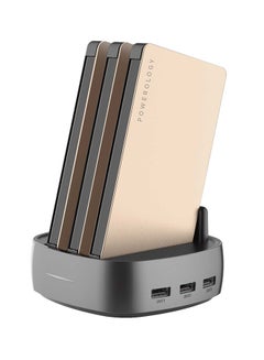 8000.0 mAh 3-In-1 Power Station With Built-In Cable Gold/Grey