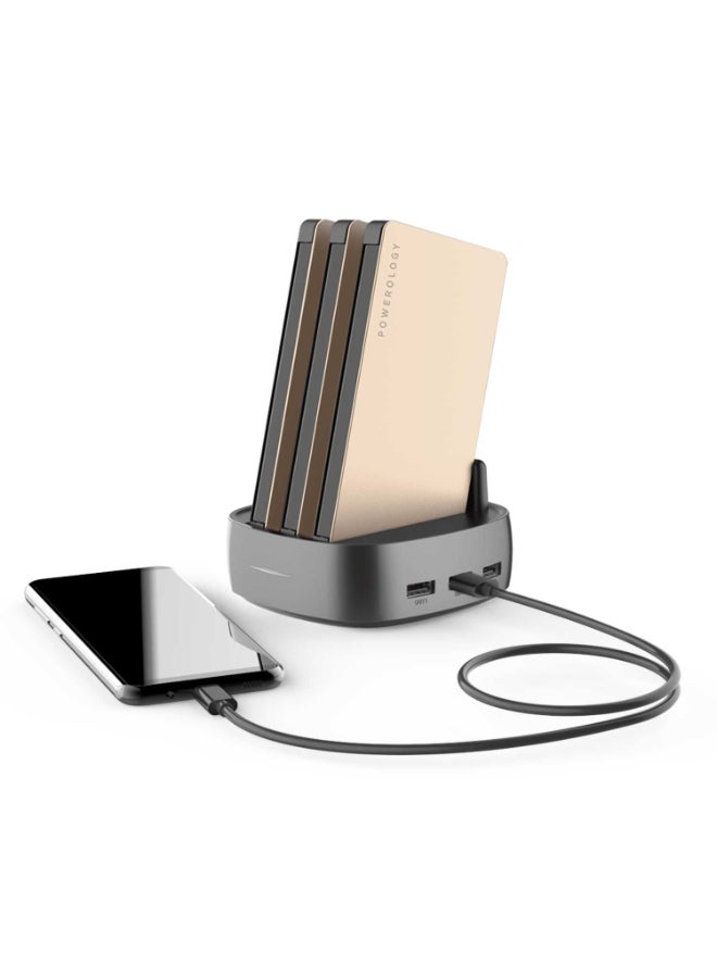 Powerology - 8000.0 mAh 3-In-1 Power Station With Built-In Cable Gold/Grey - Image 1