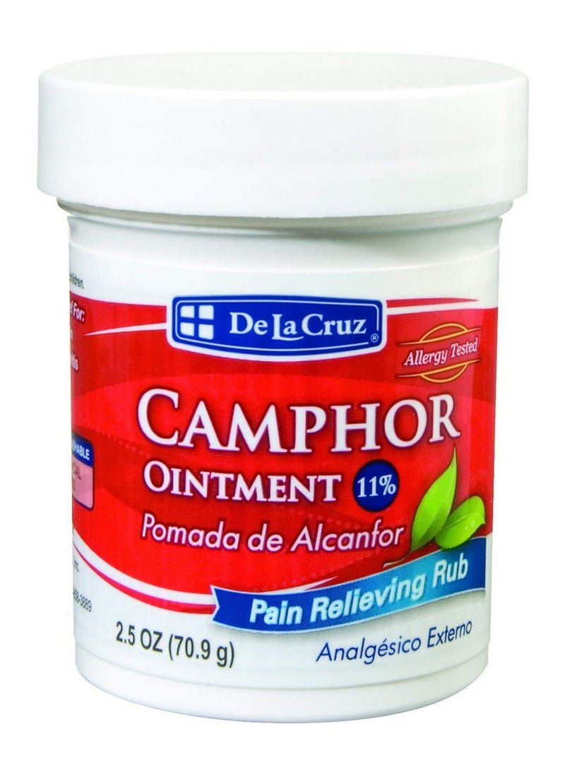 De La Cruz Camphor Pomade Pain Relieving Rub 