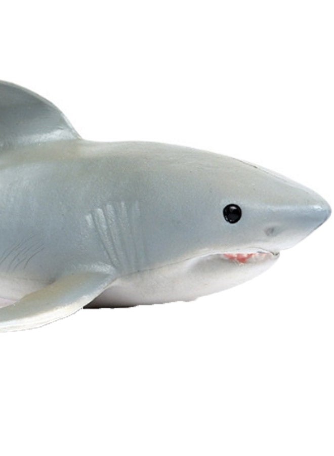 بيوينتي مجسم حيواني بشكل قرش - Image 2