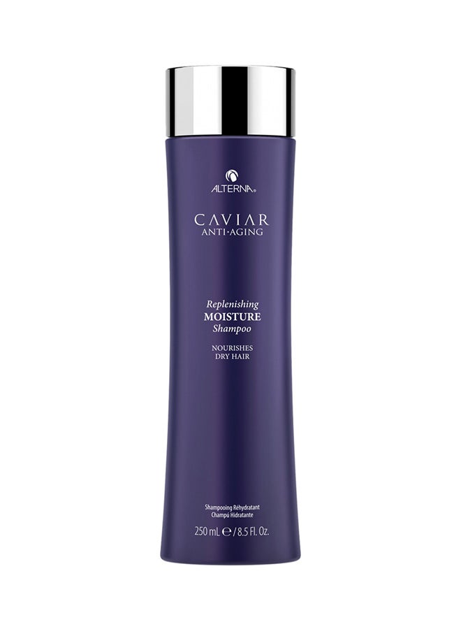 ALTERNA Caviar Anti-Aging Replenishing Moisture Shampoo 250ml