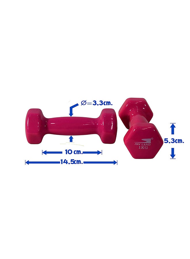 Sky Land Hexagon Shape Edge Deluxe Dumbbell - 1Kg 2 x 1kg - Image 4