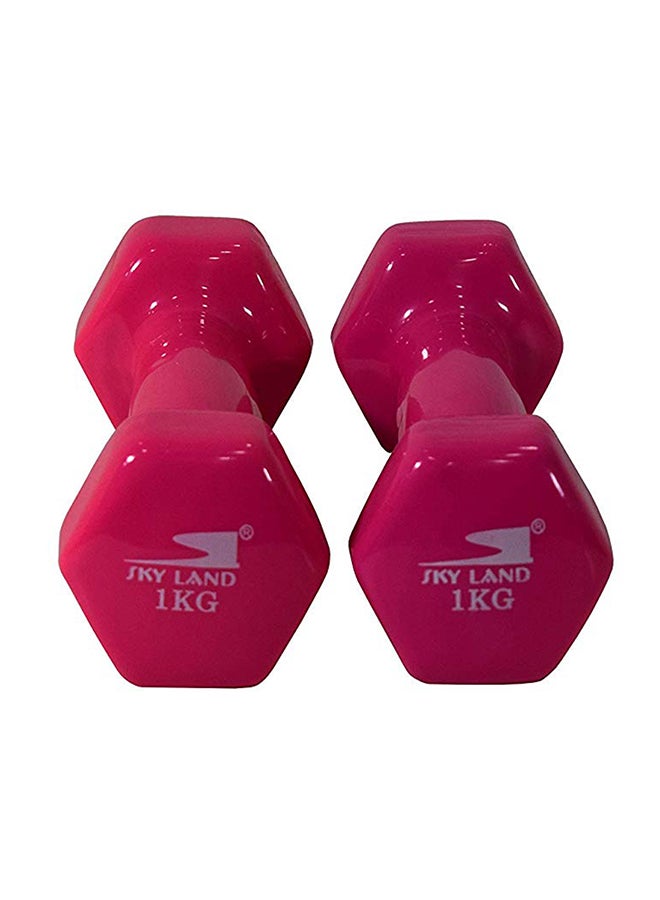 Sky Land Hexagon Shape Edge Deluxe Dumbbell - 1Kg 2 x 1kg - Image 1