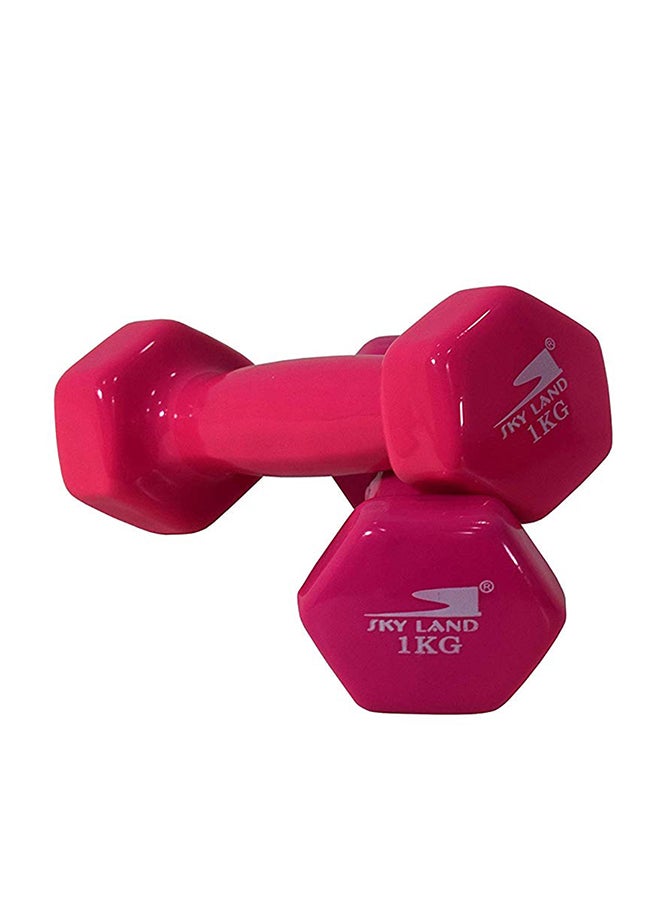 Sky Land Hexagon Shape Edge Deluxe Dumbbell - 1Kg 2 x 1kg - Image 3