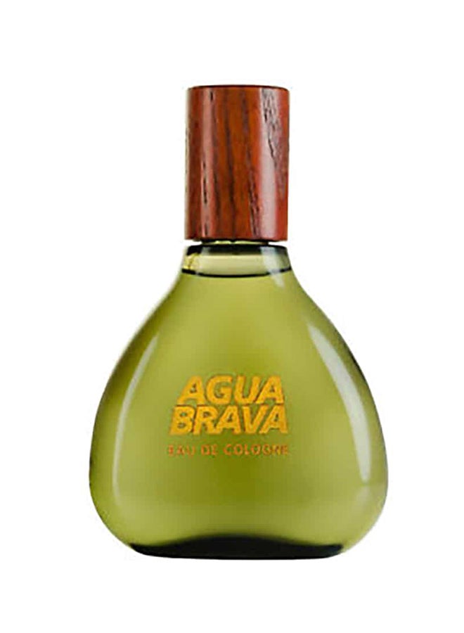 ANTONIO PUIG - Agua Brava EDC 50ml - Image 1
