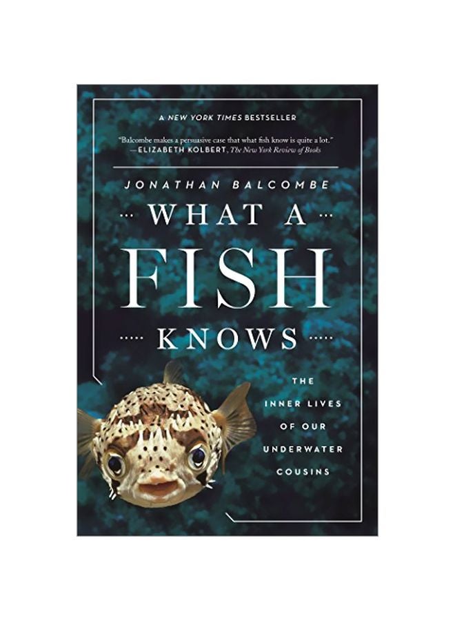 What A Fish Knows Paperback English by Jonathan Balcombe - 6 June 2017 