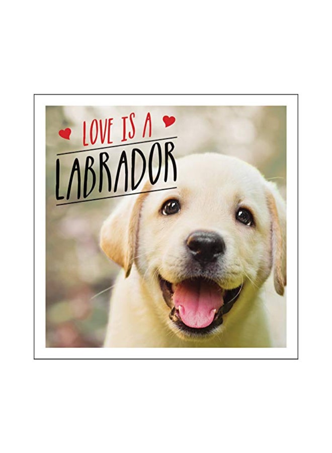 Love Is A Labrador hardcover english