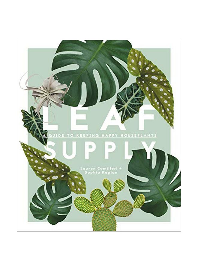 إمدادات الأوراق: دليل للحفاظ على نباتات المنزل السعيدة