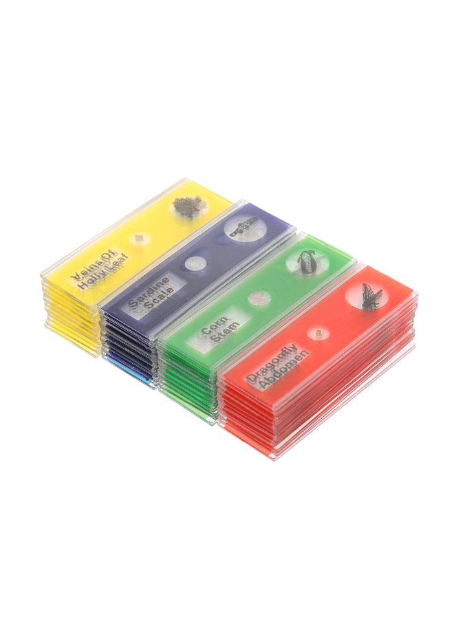 Generic - 48-Piece Prepared Microscope Slide Set Multicolour - Image 1