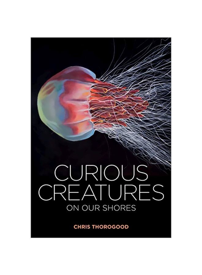 Curious Creatures On Our Shores hardcover english - 30 Nov 2019