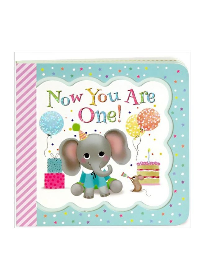 Now You Are One Hardcover English by Minnie Birdsong - 1 May 2017 
