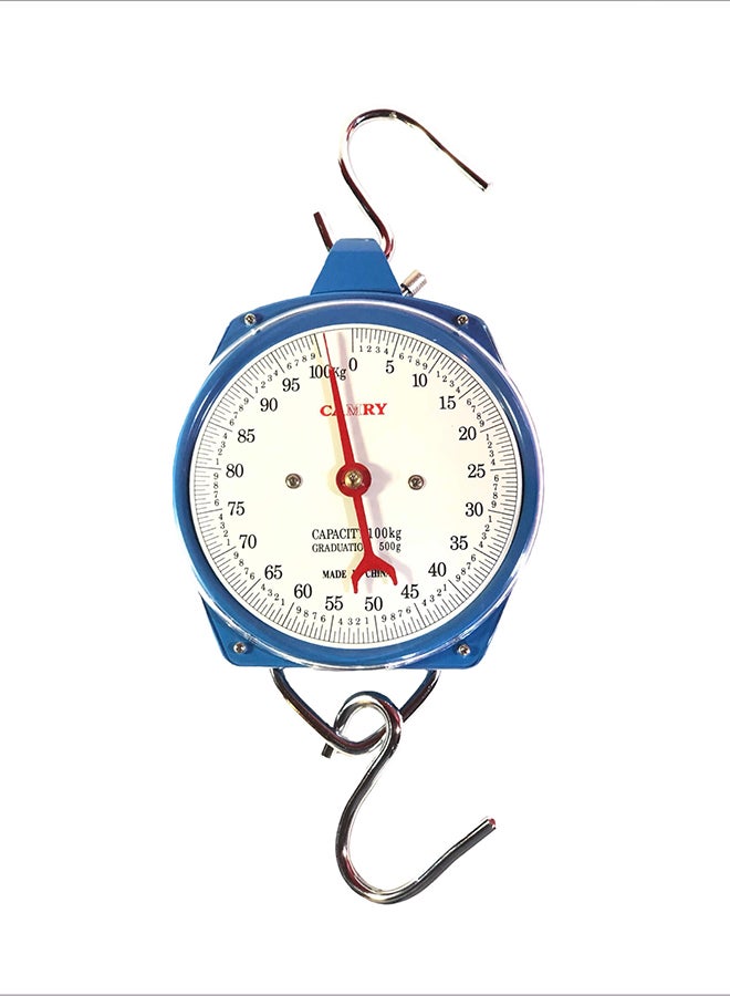 CAMRY Hanging Hook Scale 100kg Blue ‎ 0.99 x 0.99 x 0.99cm - Image 1