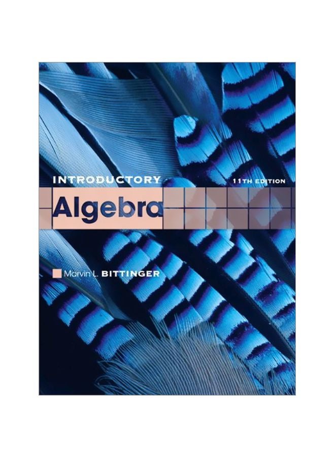 Introductory Algebra paperback english - 40181.0