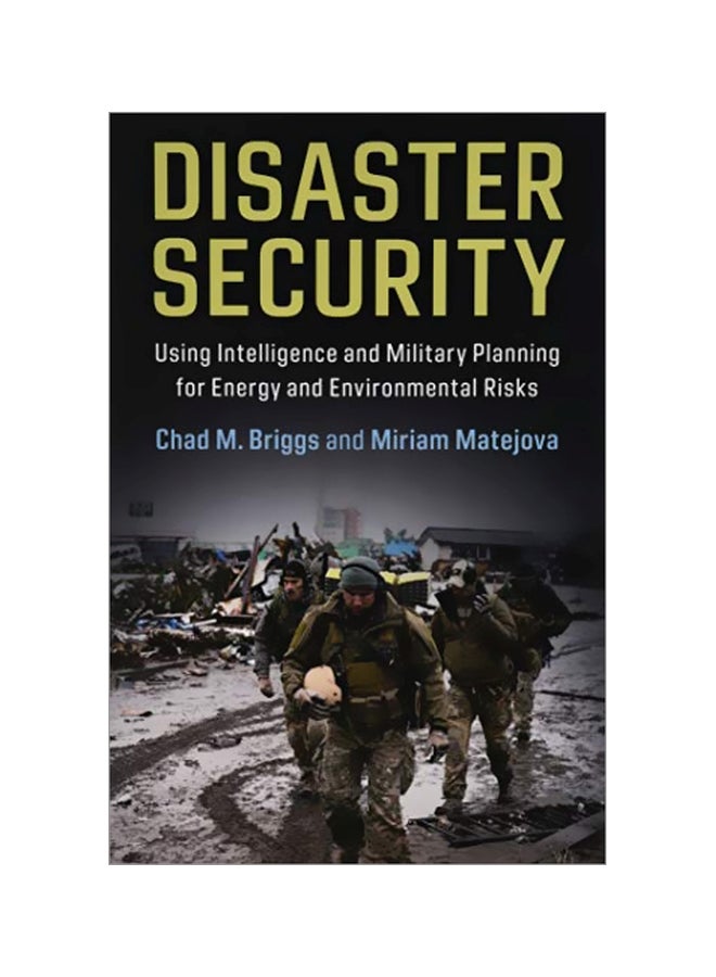 Disaster Security paperback english 