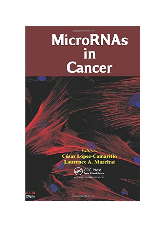Micrornas In Cancer hardcover english - 22 Feb 2013 