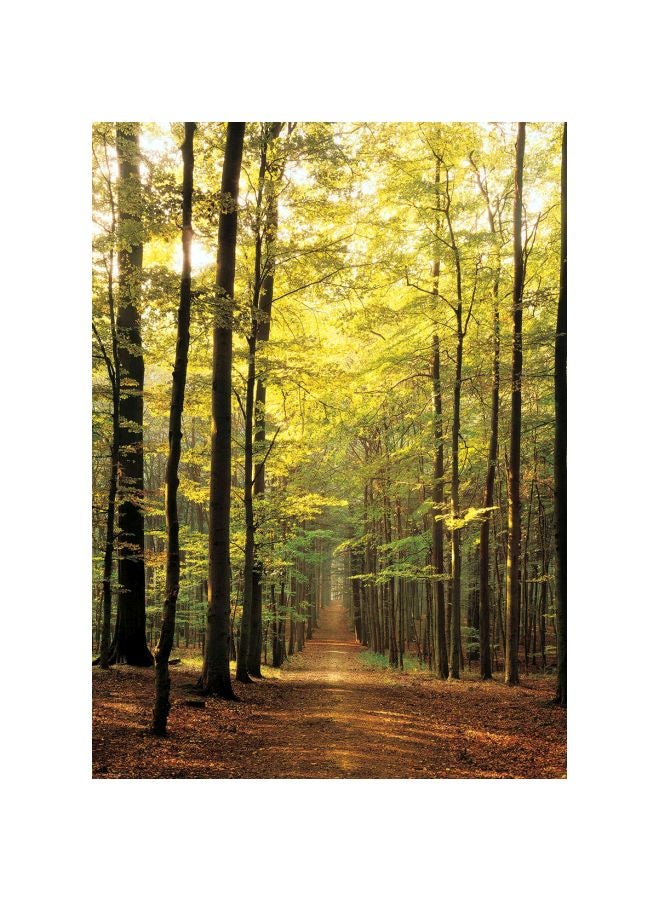 يورو جرافيكس أحجية تركيب صور بتصميم طريق في الغابة من 1000 قطعة طراز EUROPZ-3846 - Image 2