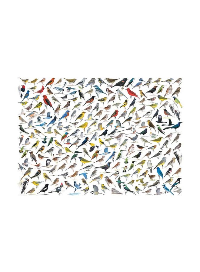 يورو جرافيكس لعبة تركيب الصور المقطعة بتصميم عالم الطيور مكونة من 1000 قطعة طراز 6000-0821 - Image 2