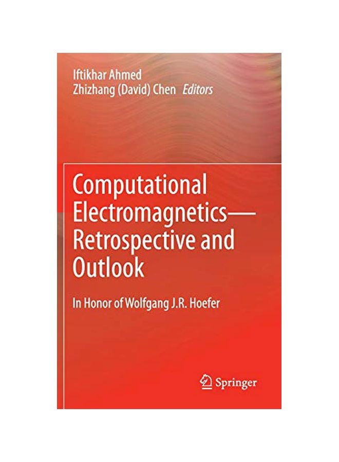 Computational Electromagnetics—Retrospective And Outlook Hardcover English - 09 Sep 2014 
