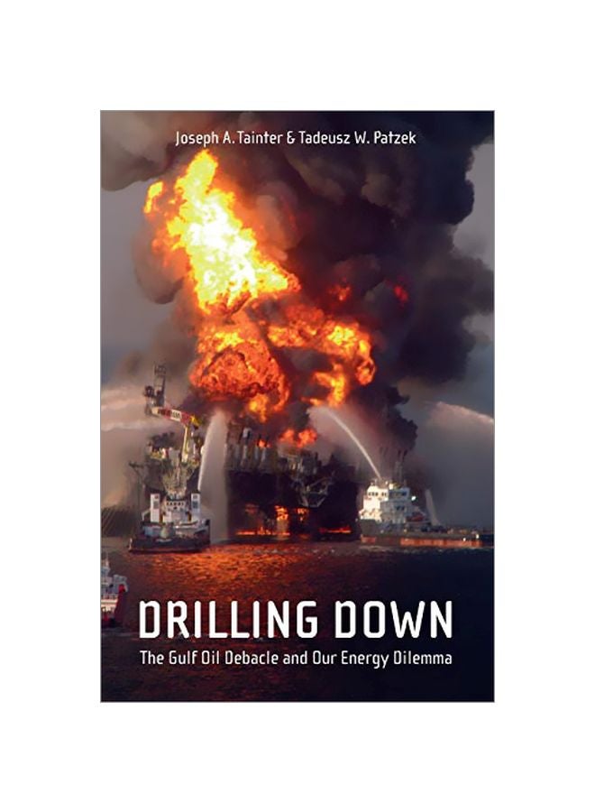 Drilling Down: The Gulf Oil Debacle And Our Energy Dilemma paperback english - 40802.0