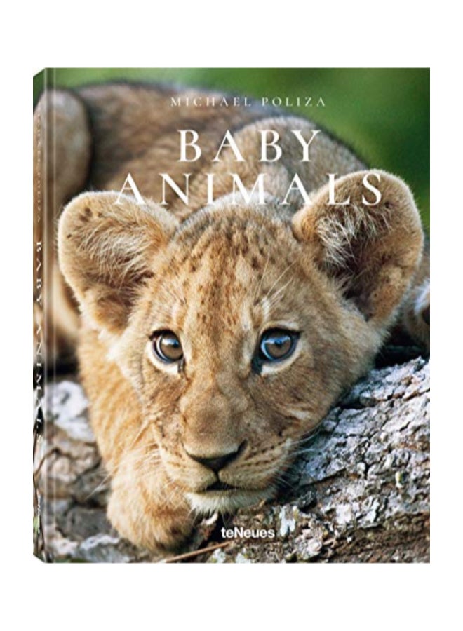 Baby Animals Hardcover English by Michael Poliza 