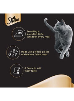 Sheba Succulent Chicken Breast Wet Cat Food Can 85g Pack of 24  - Image 3