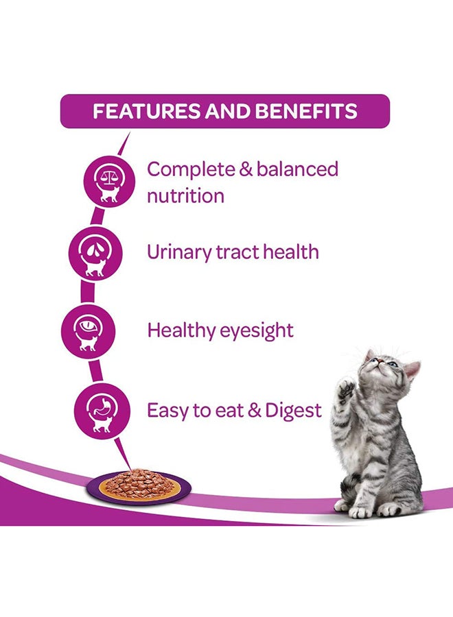 Whiskas In Jelly With Ocean Fish Wet Cat Food Pouch 85g Pack of 48  - Image 4