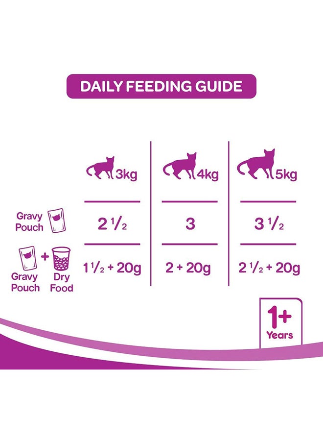 Whiskas In Jelly With Ocean Fish Wet Cat Food Pouch 85g Pack of 48  - Image 5