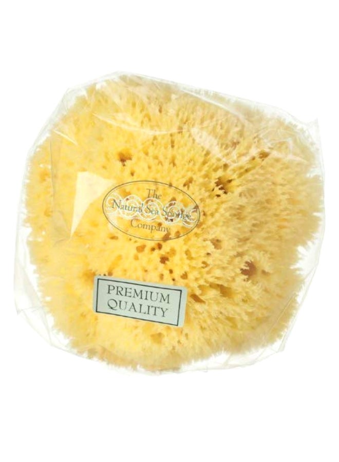 Hydrea London Honeycomb Sea Sponge Yellow 4.5 x 5inch