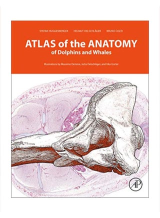 Atlas Of The Anatomy Of Dolphins And Whales hardcover english - v1583934890/N35562321A_1