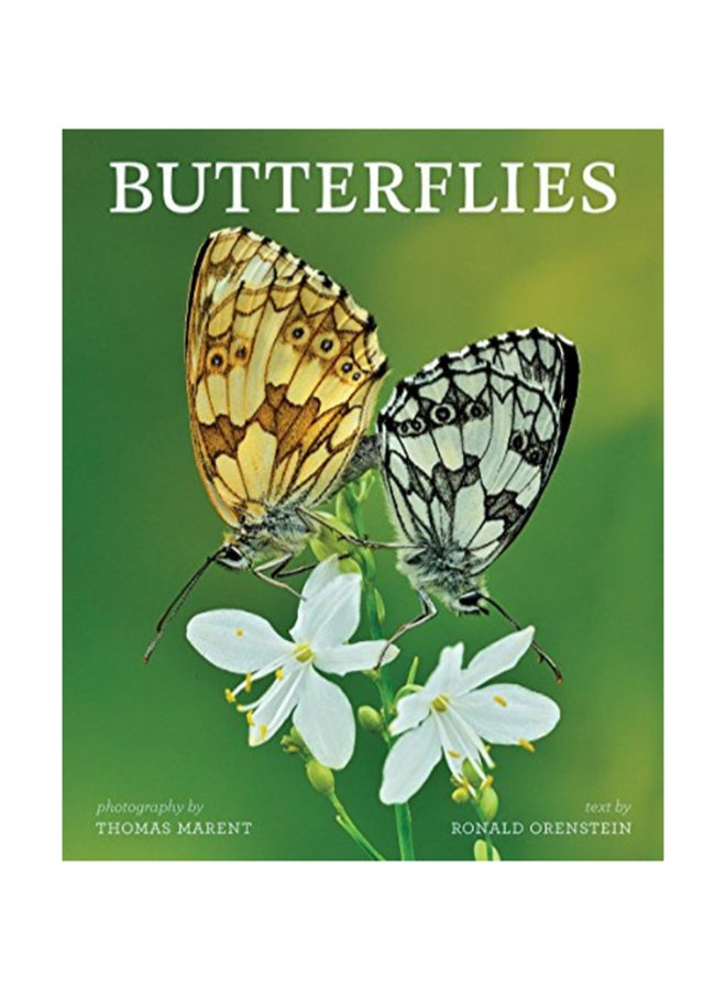 Butterflies hardcover english