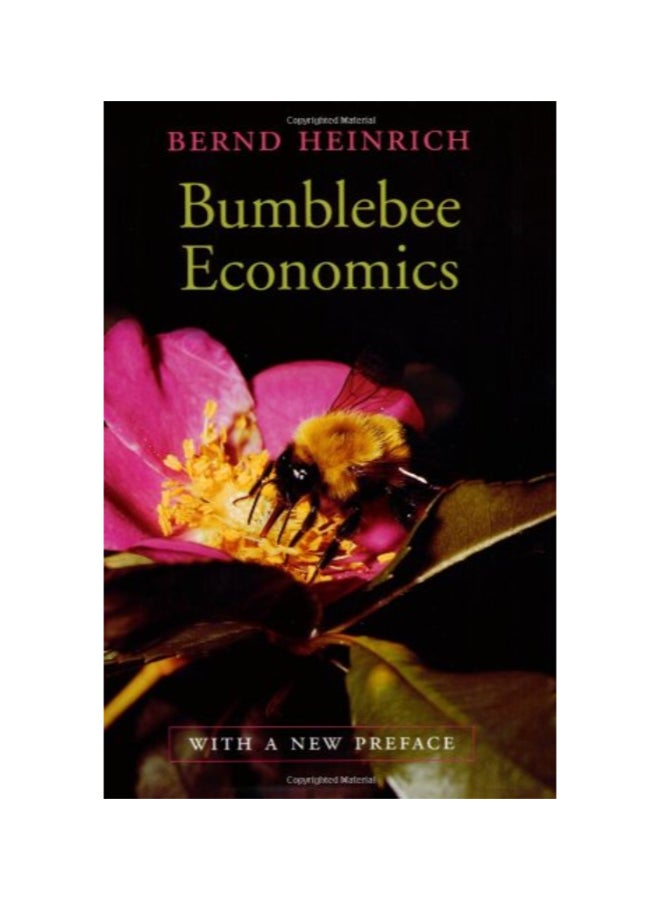 Bumblebee Economics paperback english