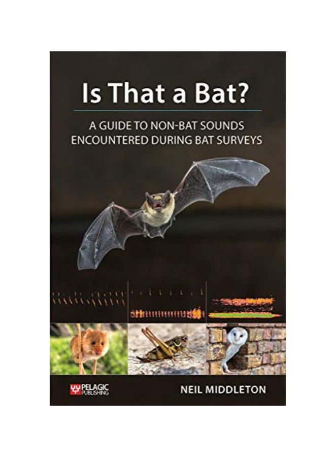 Is That A Bat? paperback english 